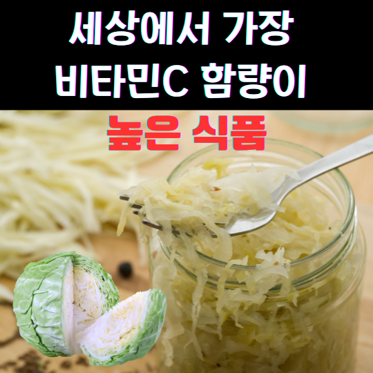 세상에서 가장 비타민C 함량이 높은식품