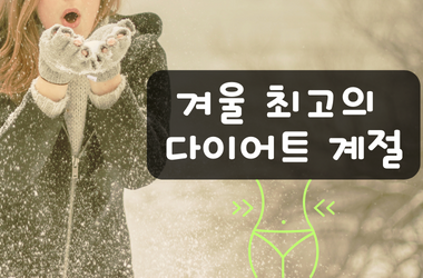 겨울다이어트