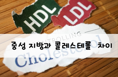 중성지방