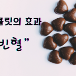 초콜렛빈혈예방