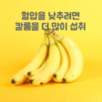 칼륨 바나나