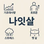 중년 뱃살 원인