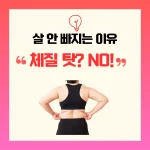 체질