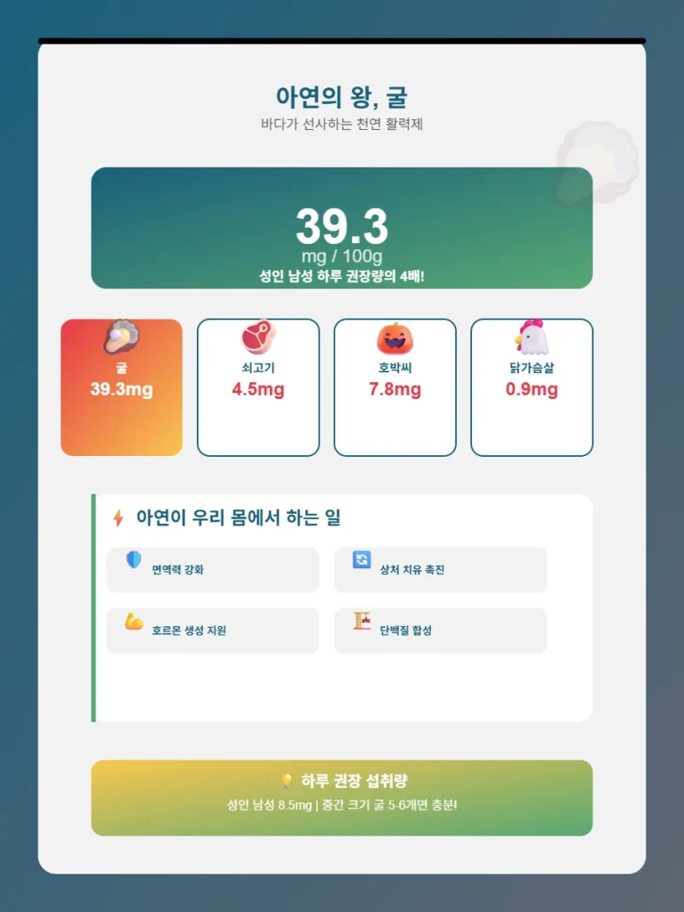 아연과 굴의 관계