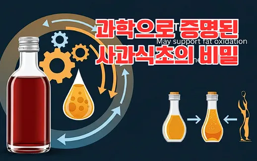 식초의 과학적 증명