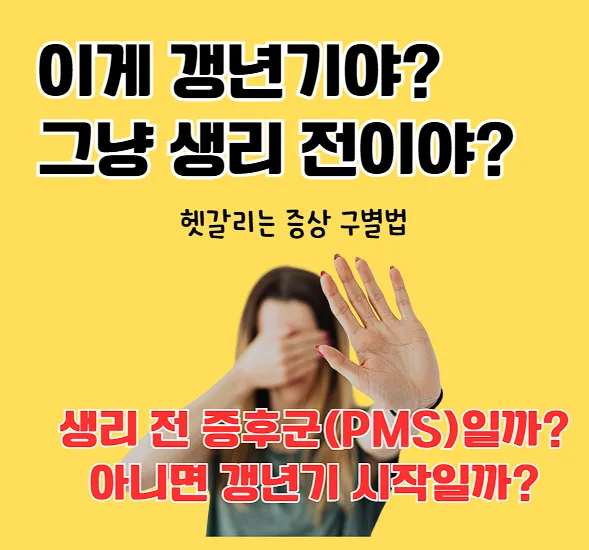 갱년기
