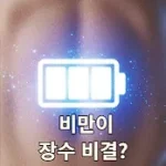 비만