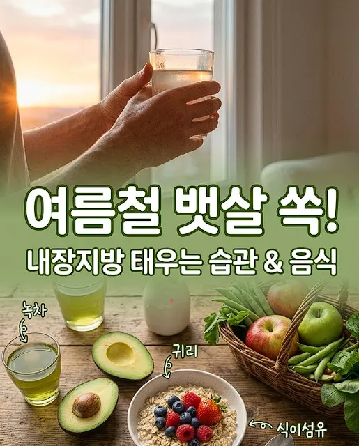 여름철 뱃살