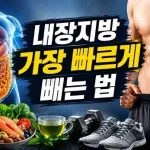 내장지방 빠르게 빼는법