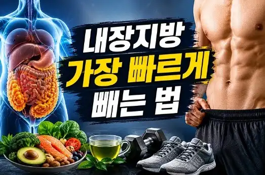 내장지방 빠르게 빼는법