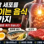 세포를 먹이는 음식
