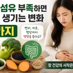 식이섬유 부족