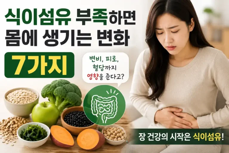 식이섬유 부족