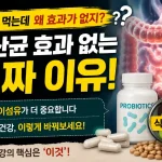 유산균