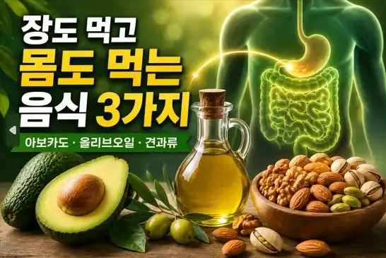 장, 몸 음식3가지