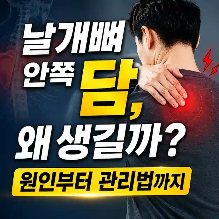 날개뼈 안쪽 담, 왜 생길까