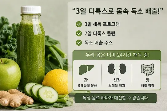3일 디톡스