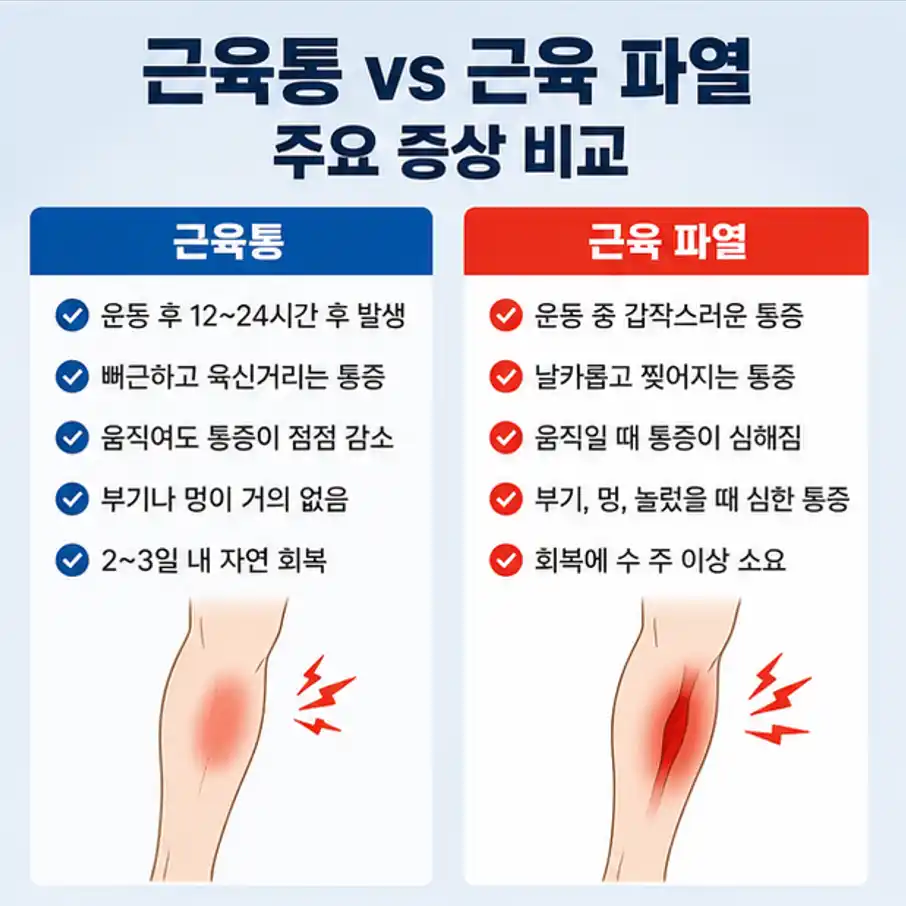 근육관련 주요증상