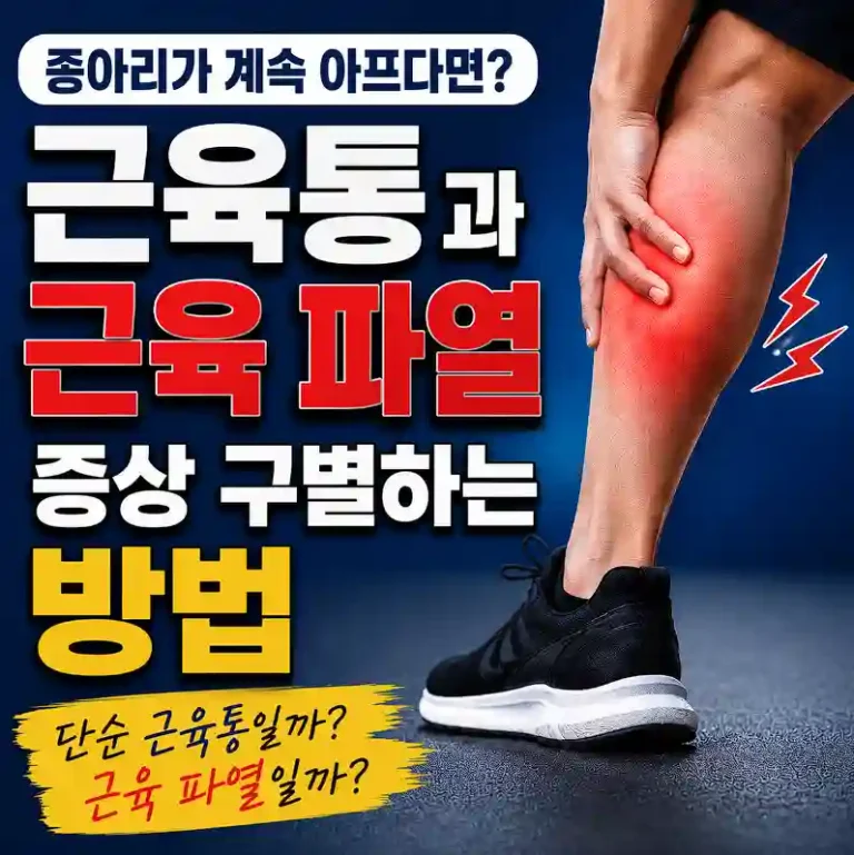 근육질병 구분방법