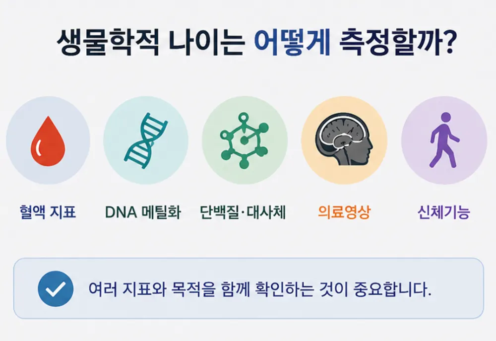 biological-age-measurement