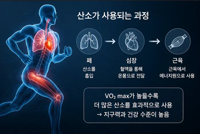 vo2-max-최대산소섭취량