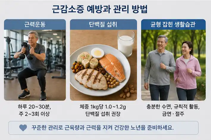 근감소증-예방-운동