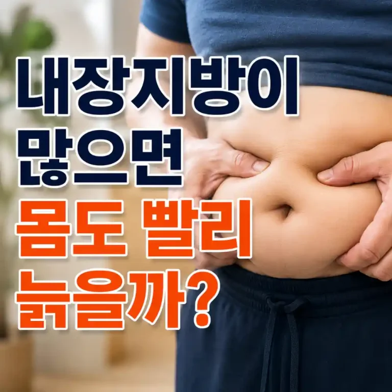내장지방-건강수명