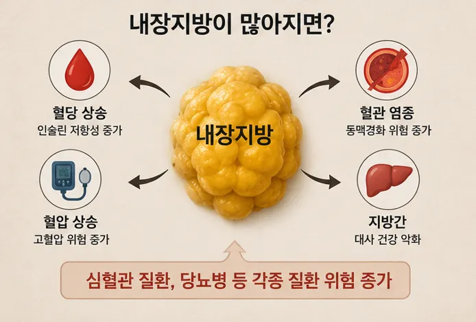 내장지방-대사건강