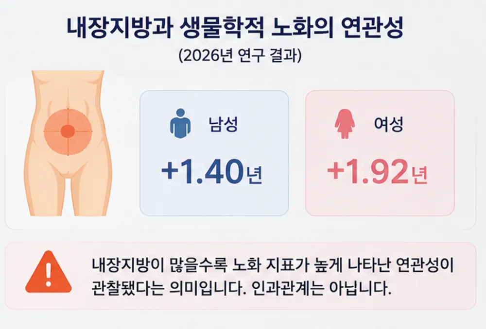 내장지방과 생물학적 노화의 연관성