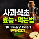사과식초 효능