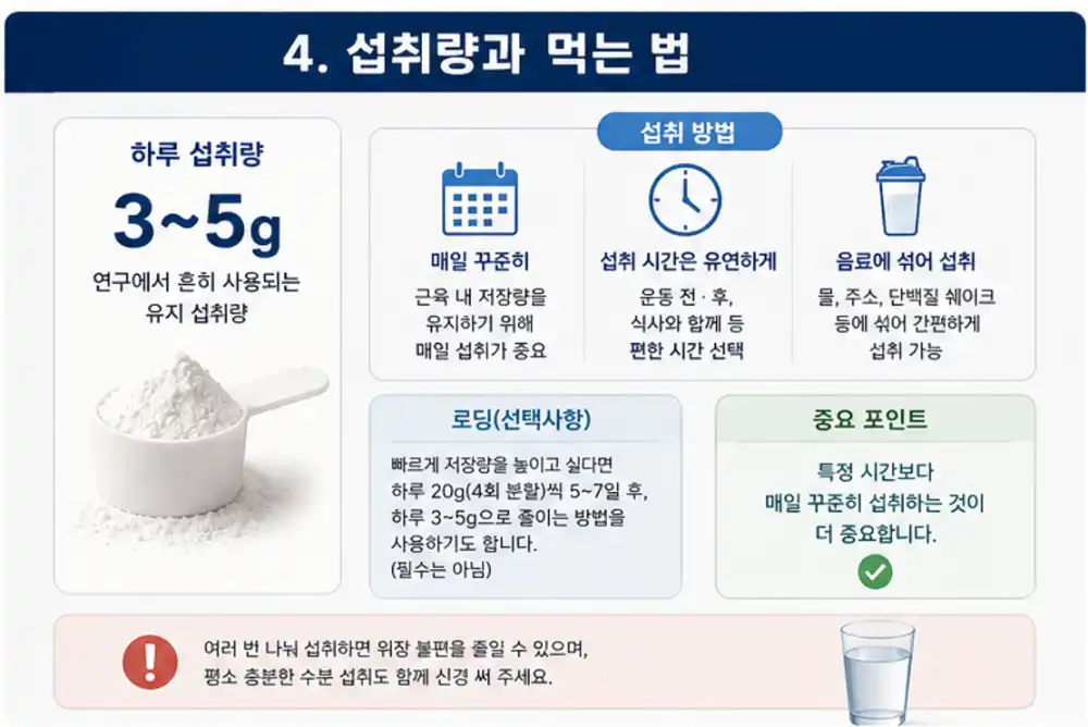 섭취량과 복용법