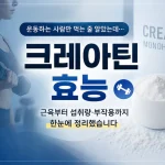 크레아틴 효능