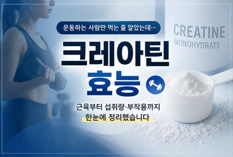 크레아틴 효능