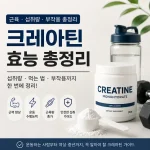 크레아틴 효능 총정리