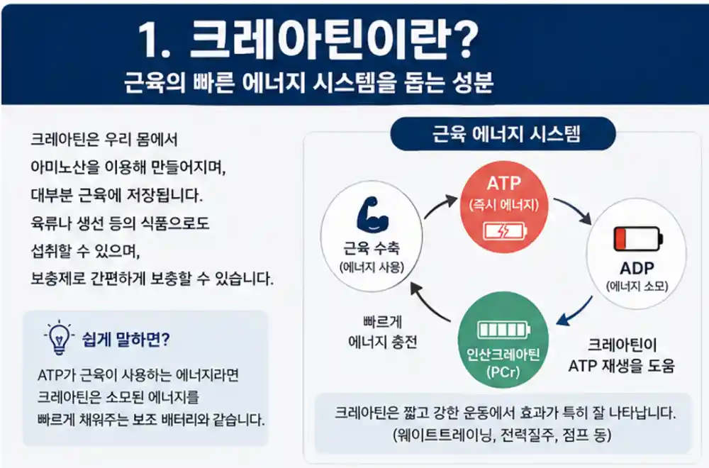 크레아틴