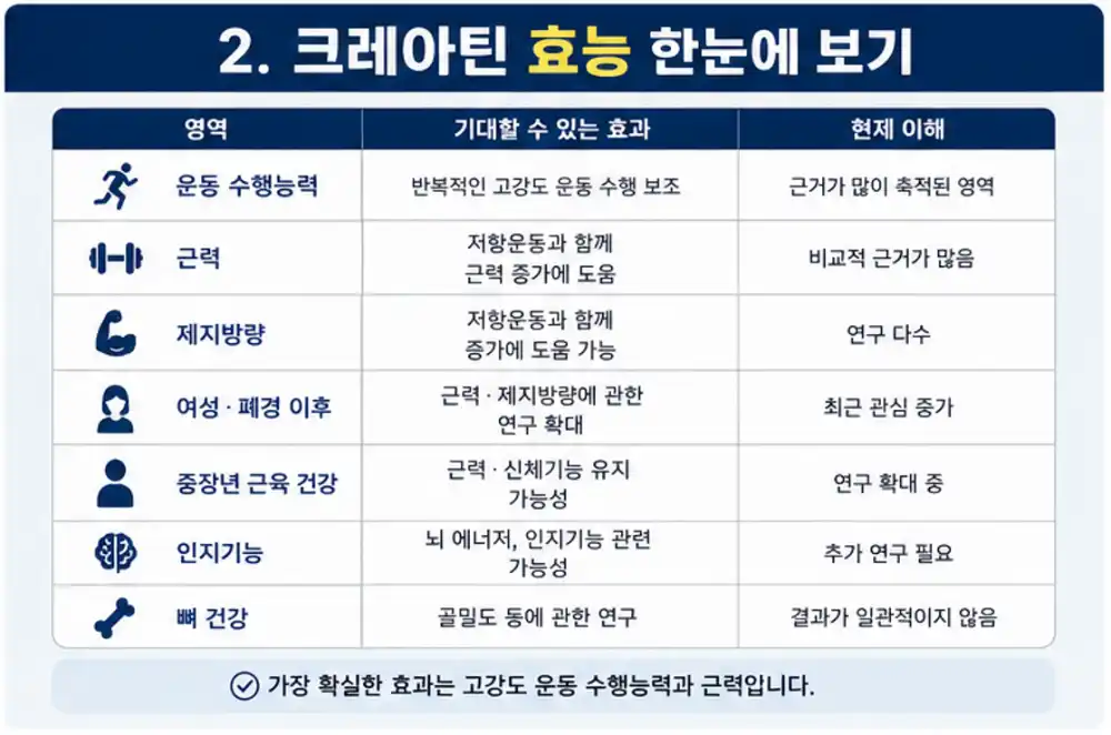 크레아틴효능 비교