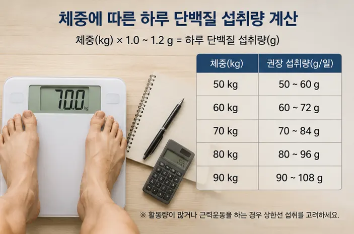 하루-단백질-섭취량-계산