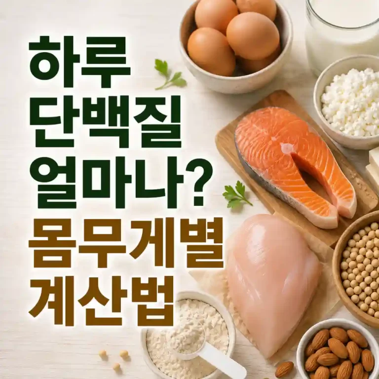 하루-단백질-섭취량-계산