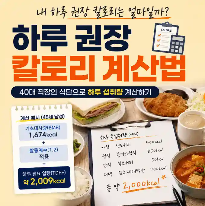 하루 권장 칼로리 계산법
