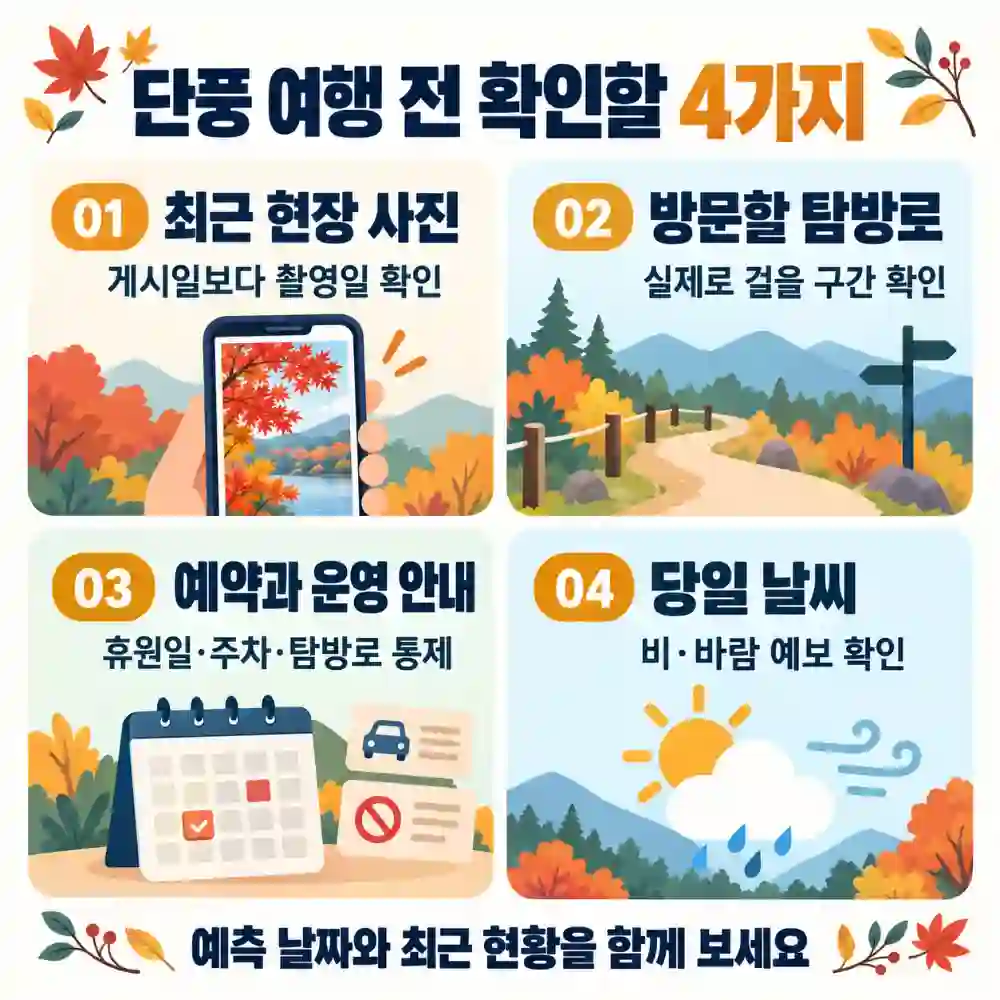단풍 여행 체크리스트 4가지